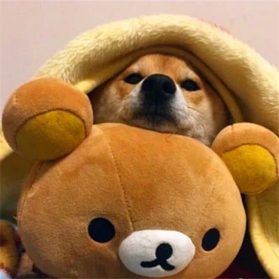 Richard Gutierrez's profile picture